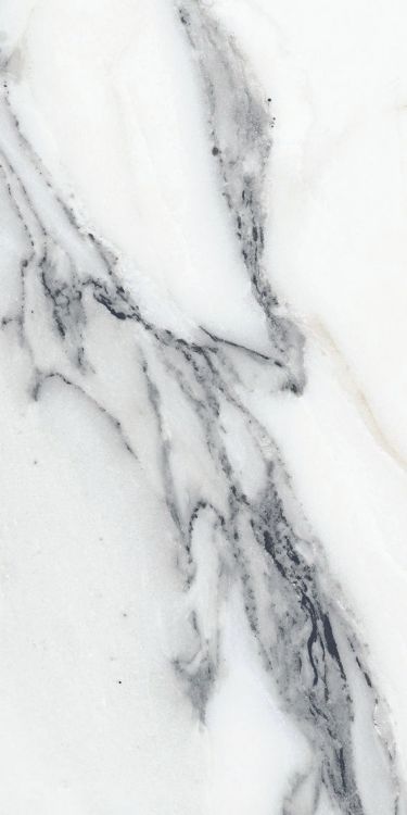 Origines Argent Glossy 12 x 24 Origines Argent Glossy 12 x 24